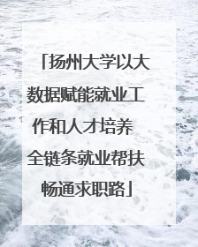 扬州大学以大数据赋能就业工作和人才培养 全链条就业帮扶畅通求职路