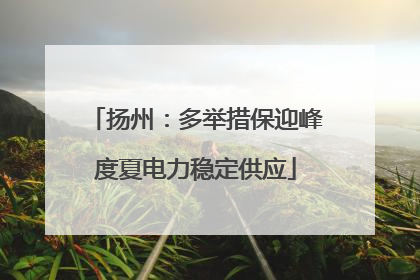 扬州：多举措保迎峰度夏电力稳定供应