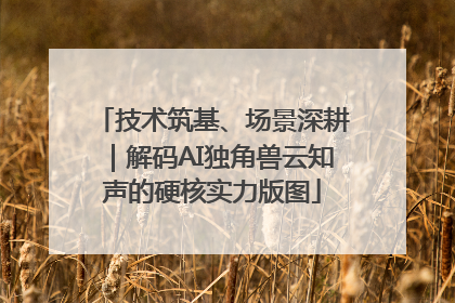 技术筑基、场景深耕｜解码AI独角兽云知声的硬核实力版图