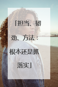 担当、韧劲、方法：根本还是抓落实