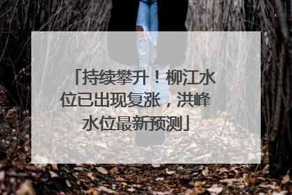 持续攀升！柳江水位已出现复涨，洪峰水位最新预测