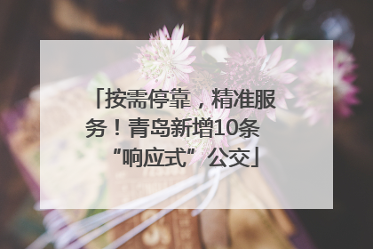 按需停靠，精准服务！青岛新增10条“响应式”公交