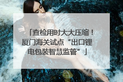 查检用时大大压缩！厦门海关试点“出口锂电包装智慧监管”