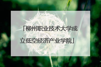 柳州职业技术大学成立低空经济产业学院
