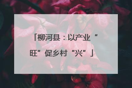 柳河县：以产业“旺”促乡村“兴”