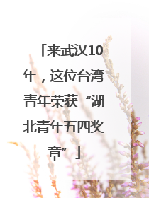 来武汉10年，这位台湾青年荣获“湖北青年五四奖章”