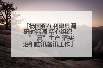 杨国强在利津县调研时强调 精心组织“三夏”生产 落实落细防汛备汛工作