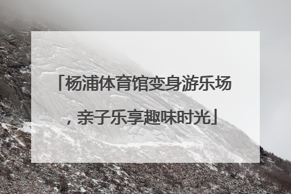 杨浦体育馆变身游乐场，亲子乐享趣味时光