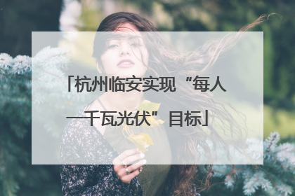 杭州临安实现“每人一千瓦光伏”目标