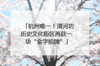 杭州唯一！清河坊历史文化街区再获一块“金字招牌”