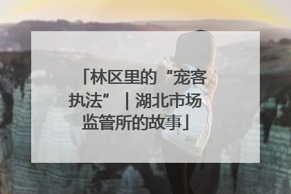 林区里的“宠客执法”｜湖北市场监管所的故事