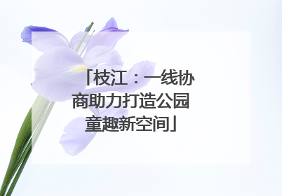 枝江：一线协商助力打造公园童趣新空间