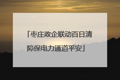枣庄政企联动百日清障保电力通道平安