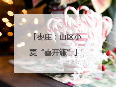 枣庄：山区小麦“喜开镰”