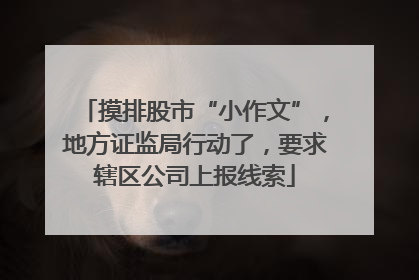 摸排股市“小作文”，地方证监局行动了，要求辖区公司上报线索