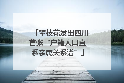 攀枝花发出四川首张“户籍人口直系亲属关系谱”