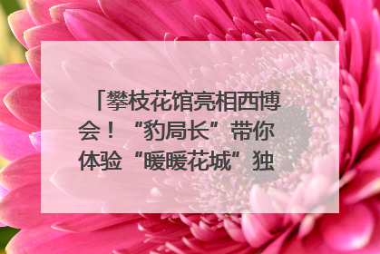 攀枝花馆亮相西博会！“豹局长”带你体验“暖暖花城”独特魅力｜西博视界
