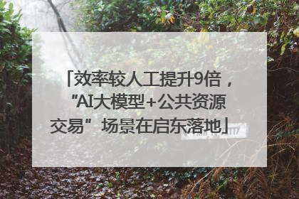 效率较人工提升9倍，“AI大模型+公共资源交易”场景在启东落地