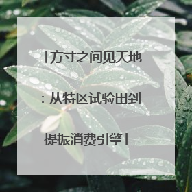 方寸之间见天地：从特区试验田到提振消费引擎