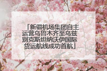 新疆机场集团自主运营乌鲁木齐至乌兹别克斯坦纳沃伊国际货运航线成功首航