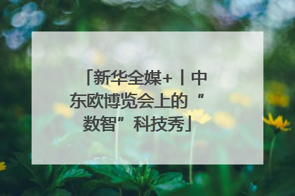 新华全媒+丨中东欧博览会上的“数智”科技秀