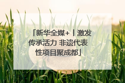 新华全媒+丨激发传承活力 非遗代表性项目聚成都