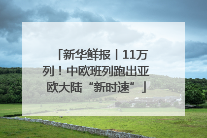新华鲜报丨11万列！中欧班列跑出亚欧大陆“新时速”