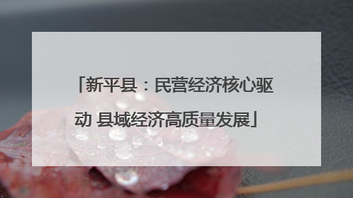 新平县：民营经济核心驱动 县域经济高质量发展