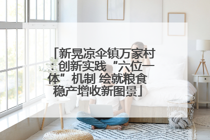 新晃凉伞镇万家村：创新实践“六位一体”机制 绘就粮食稳产增收新图景