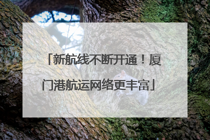 新航线不断开通！厦门港航运网络更丰富
