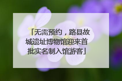 无需预约，路县故城遗址博物馆迎来首批实名制入馆游客