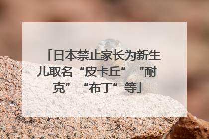 日本禁止家长为新生儿取名“皮卡丘”“耐克”“布丁”等