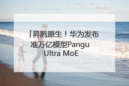 昇腾原生！华为发布准万亿模型Pangu Ultra MoE模型架构和训练细节