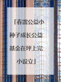 春雷公益小种子成长公益基金在坪上完小设立