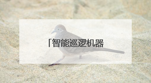 智能巡逻机器人“上岗”