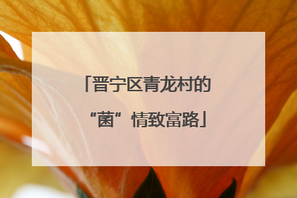 晋宁区青龙村的“菌”情致富路