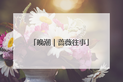 晚潮｜蔷薇往事
