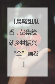 晨曦甜瓜香，彭集绘就乡村振兴“金”画卷