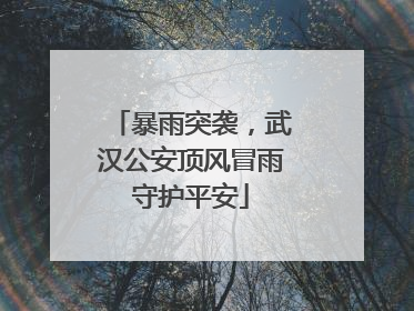 暴雨突袭，武汉公安顶风冒雨守护平安