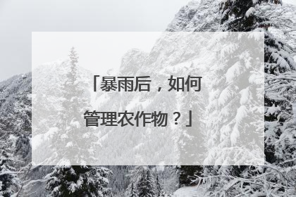 暴雨后，如何管理农作物？