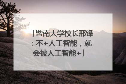 暨南大学校长邢锋：不+人工智能，就会被人工智能+
