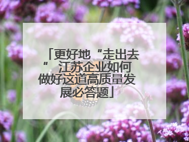 更好地“走出去” 江苏企业如何做好这道高质量发展必答题