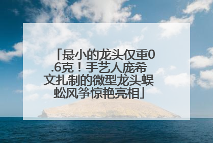 最小的龙头仅重0.6克！手艺人庞希文扎制的微型龙头蜈蚣风筝惊艳亮相