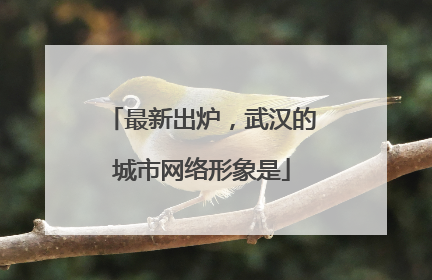 最新出炉，武汉的城市网络形象是
