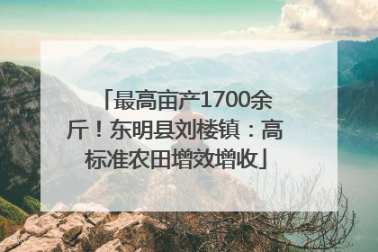 最高亩产1700余斤！东明县刘楼镇：高标准农田增效增收