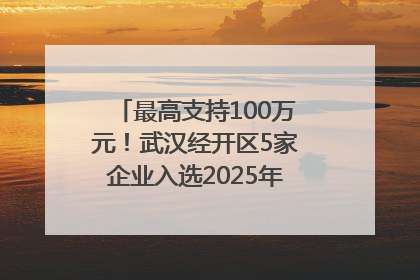 最高支持100万元！武汉经开区5家企业入选2025年度武汉市重点研发计划拟立项项目名单