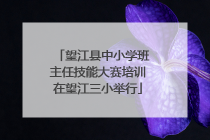 望江县中小学班主任技能大赛培训在望江三小举行
