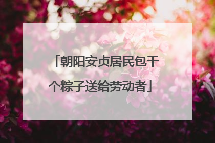 朝阳安贞居民包千个粽子送给劳动者
