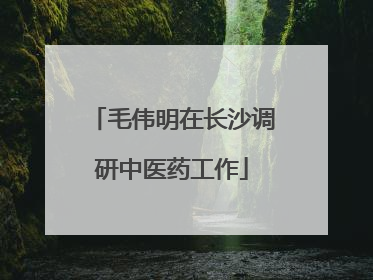 毛伟明在长沙调研中医药工作