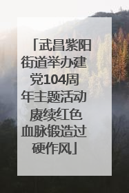 武昌紫阳街道举办建党104周年主题活动 赓续红色血脉锻造过硬作风